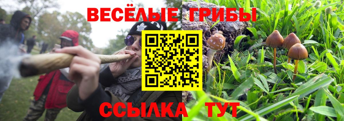 Усинск  где продают наркотики  Вход с VPN  Галлюциногенные грибы мухоморы 
