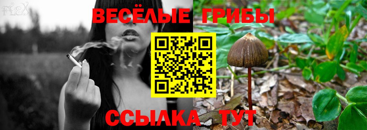 Псилоцибиновые грибы ЛСД Усинск
